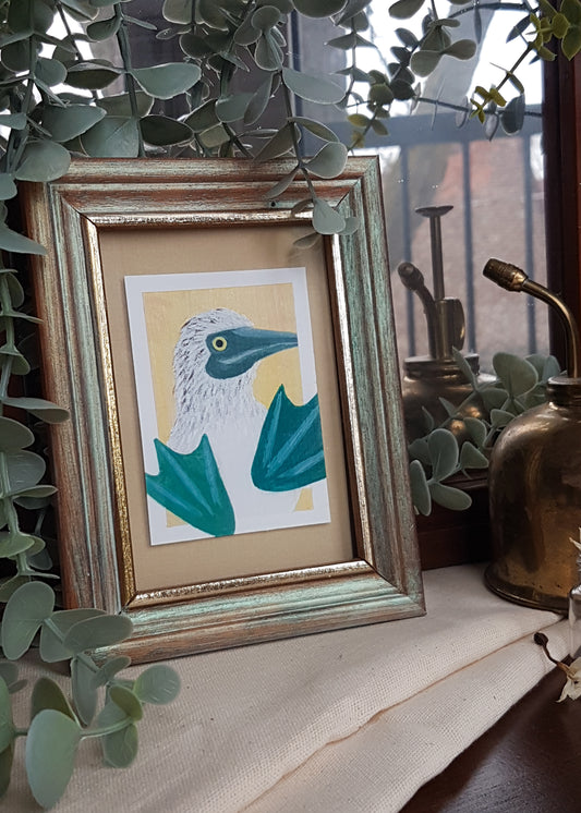 Blue-Footed Booby | Original Mini Painting
