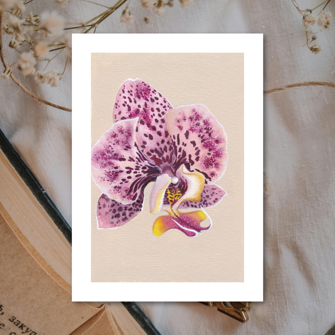 Moth Orchid | Art Print