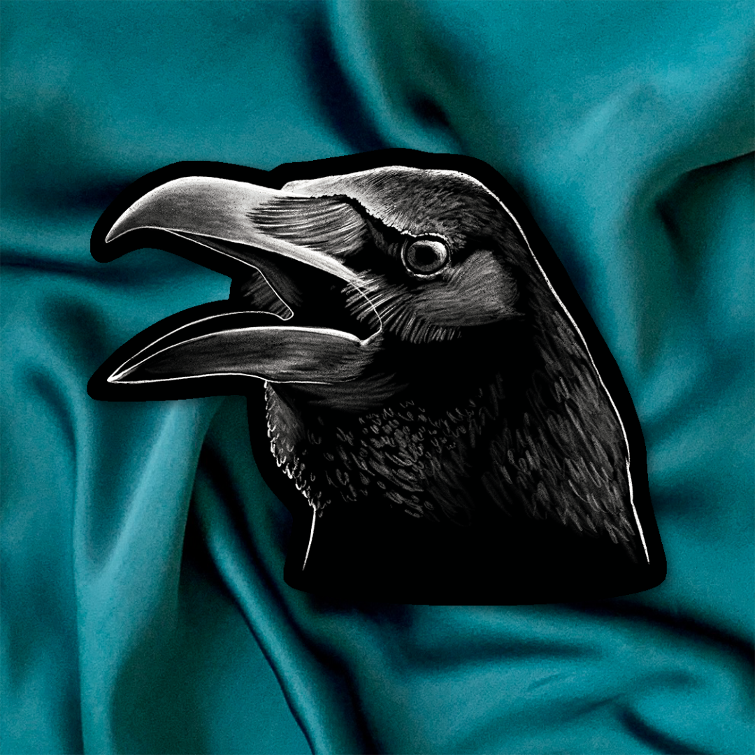 Black and white cutout illustration of a Raven head on a teal fabric background.