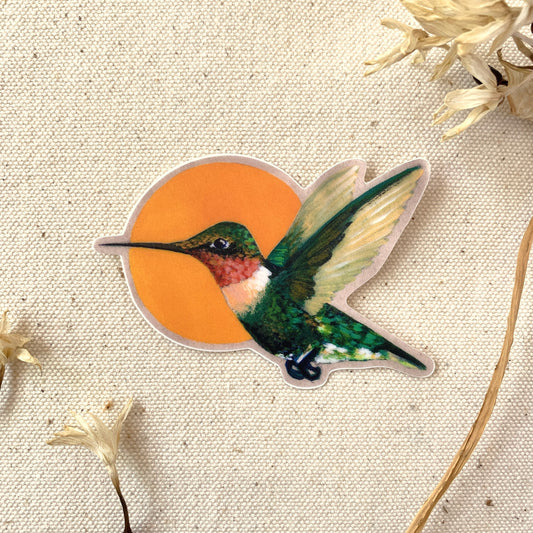 Sticker of a ruby-throated hummingbird with an orange circle. It is on a textured beige background with dried flowers around it.