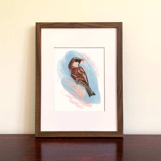 Framed artwork of a sparrow bird on a beige wall.