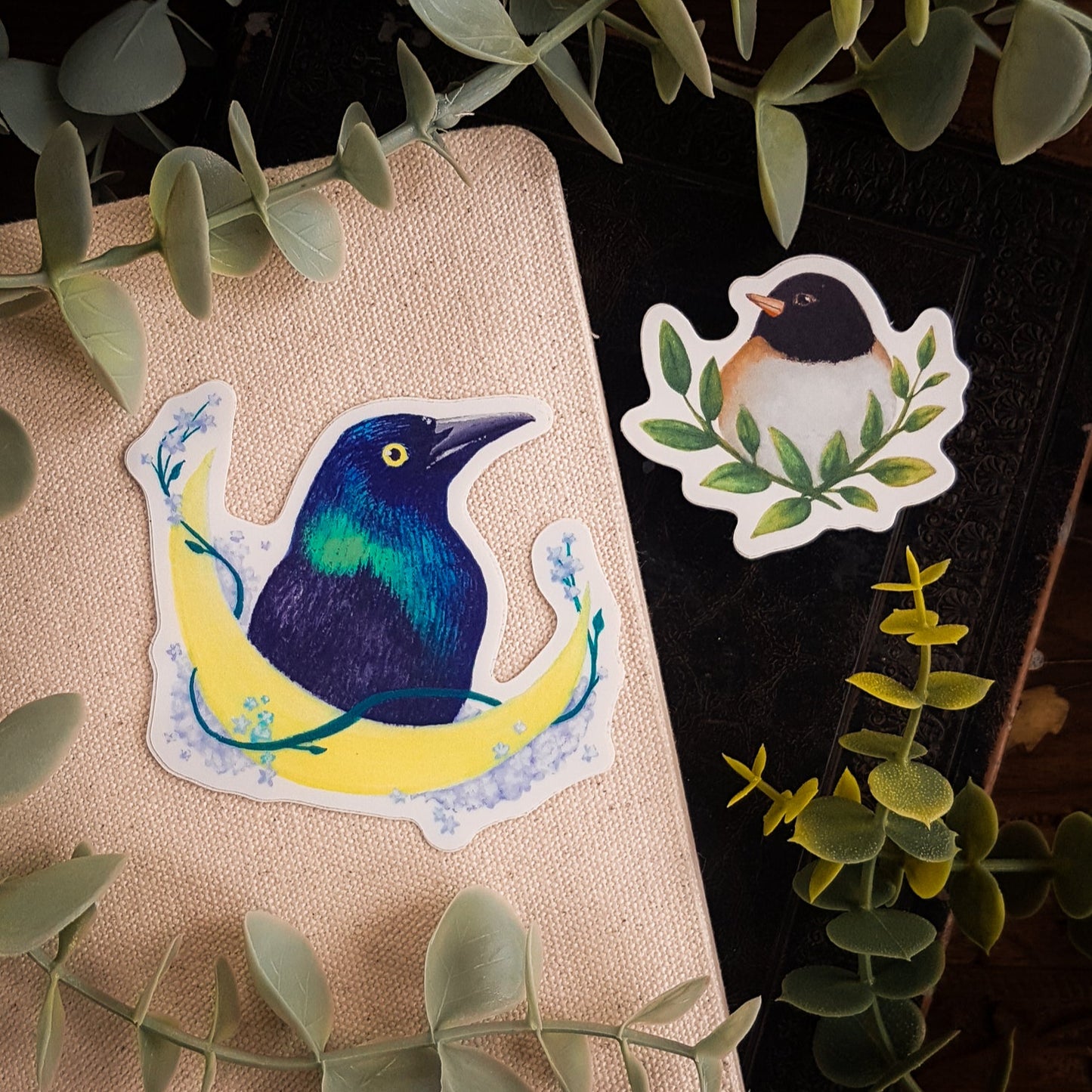 A Common Grackle and Dark-eyed Junco sticker on a pile of books surrounded by greenery.