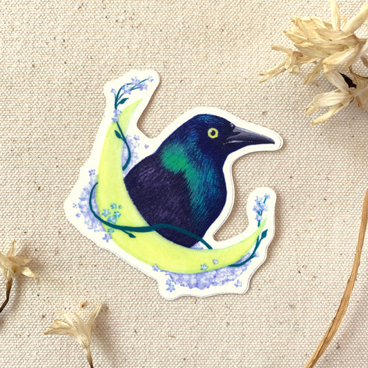 Sticker of a black, blue Grackle bird with green accents on a textured beige background