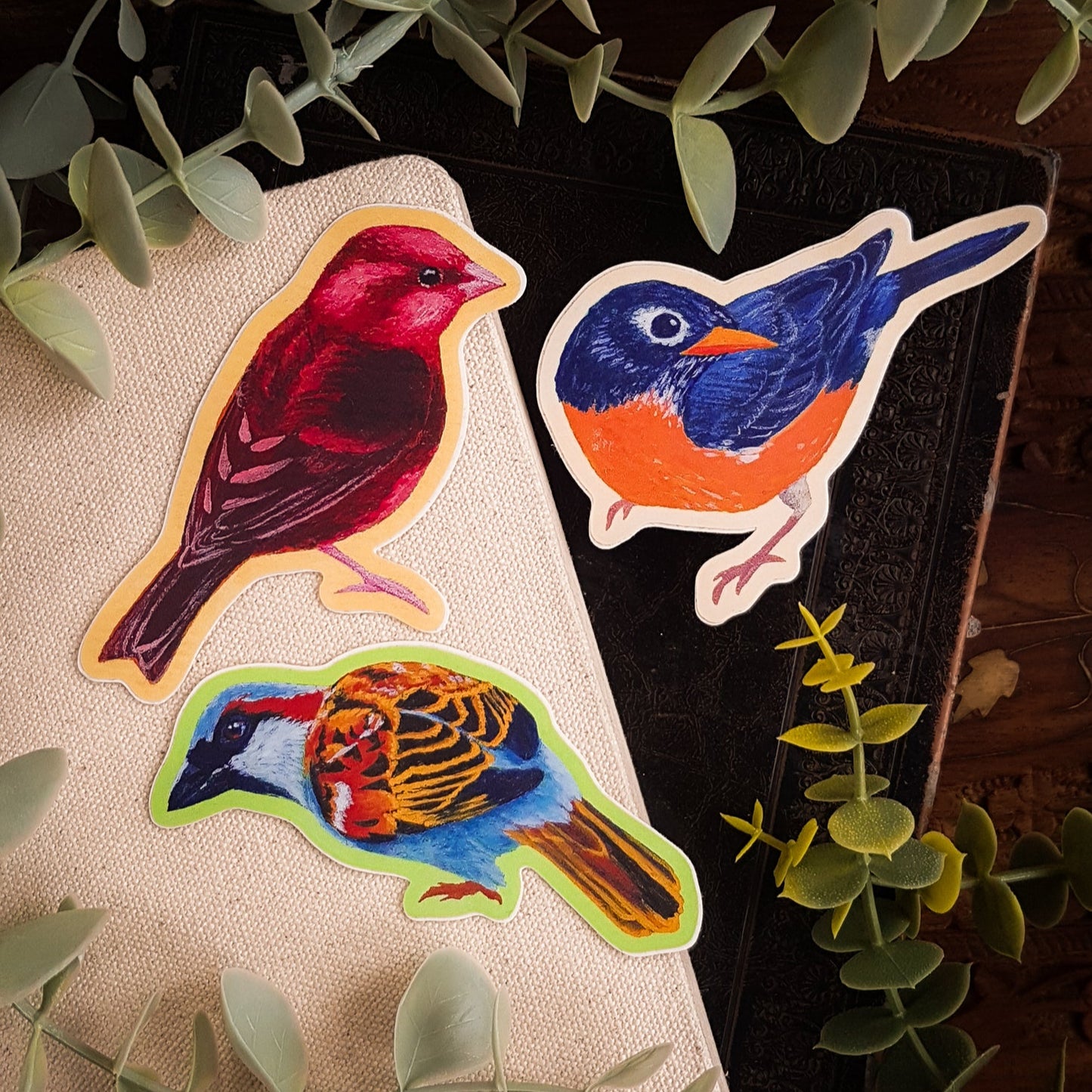 Three bird stickers, Dark-breasted Rosefinch, American Robin, and House Sparrow, on some books surrounded by greenery.