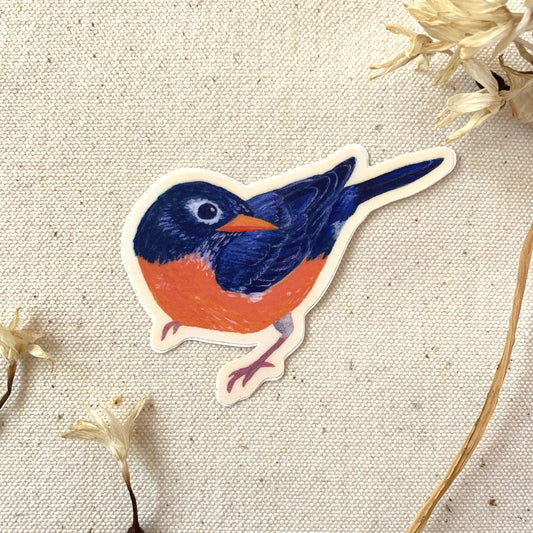 Sticker of a blue and orange robin bird on a textured beige background with dried flowers.