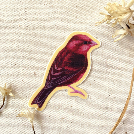 Sticker of a red bird on a textured beige background with dried flowers.