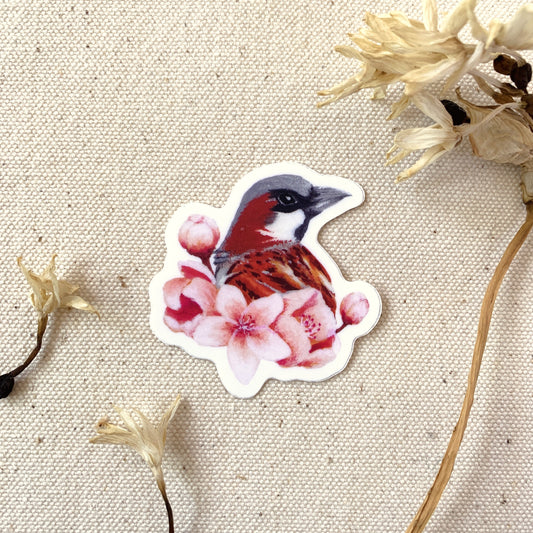 Sticker of a sparrow bird and cherry blossom flowers on a textured beige background with dried flowers.