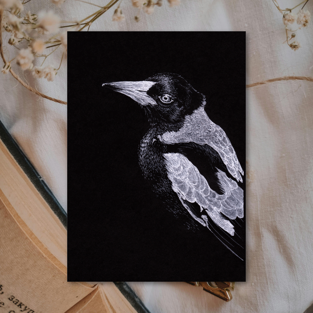 Australian Magpie | 5 x 7 Art Print