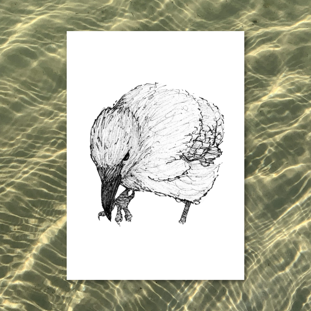 Crow | 5 x 7 Art Print