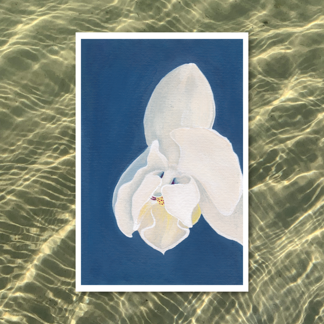 Shying Away & Hiding in Plain Sight | Orchid Art Print