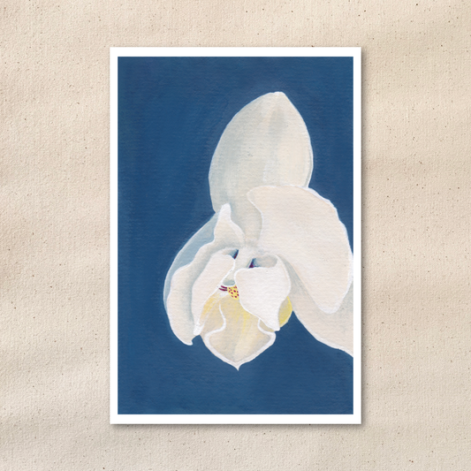 Shying Away & Hiding in Plain Sight | Orchid Art Print