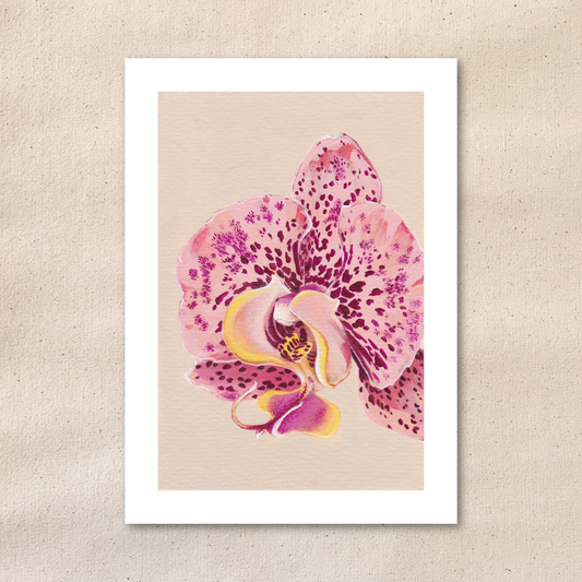 Artwork of a pink moth orchid on a beige background