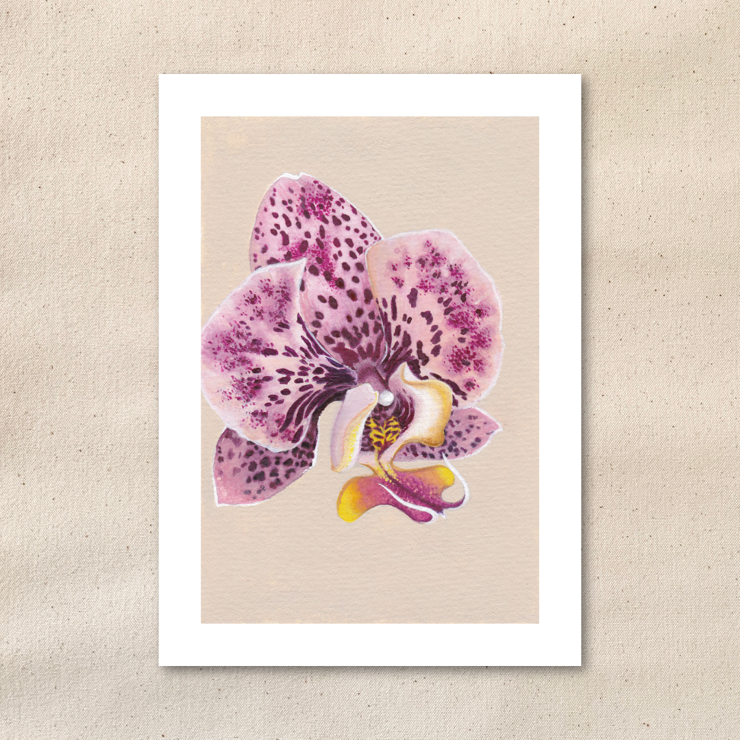 Moth Orchid | Art Print