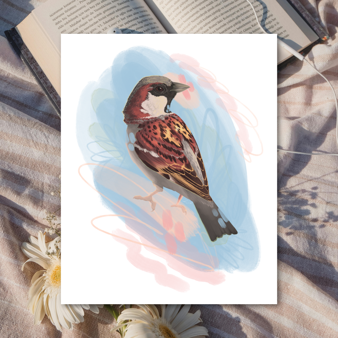 Sparrow Portrait | 8 x 10 Art Print