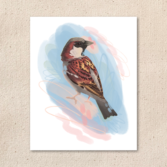 Sparrow Portrait | 8 x 10 Art Print