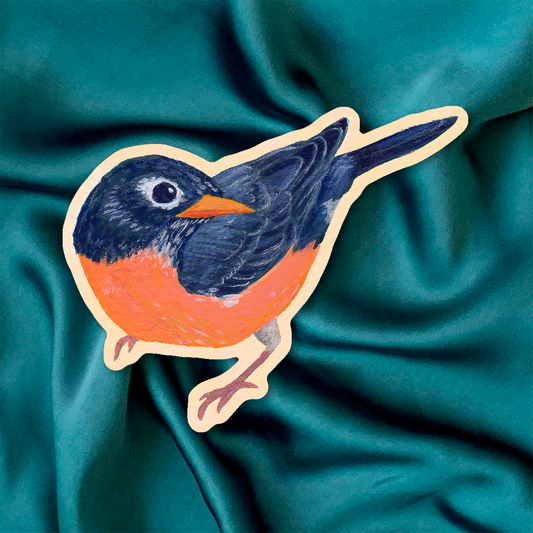 Robin-shaped sticker on a teal fabric background