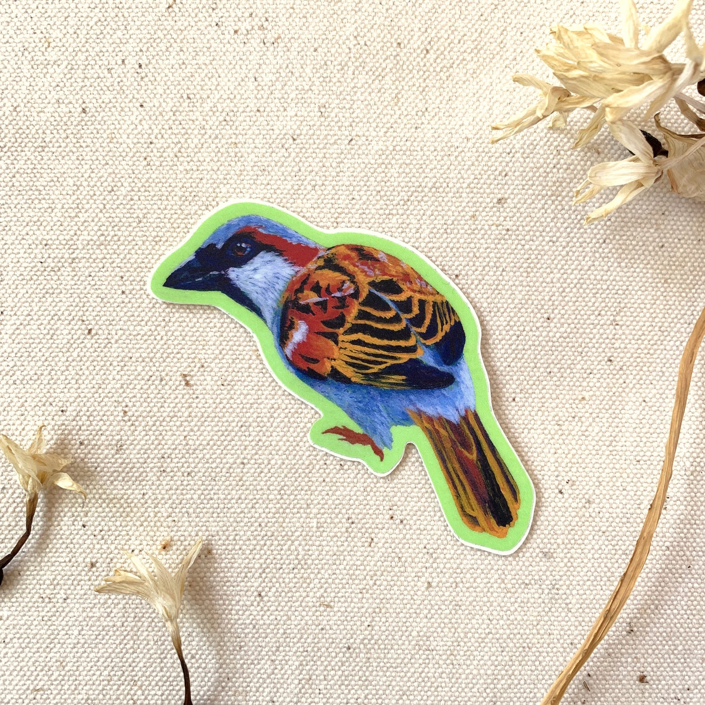 Colorful bird-shaped sticker on a textured beige background with dried flowers.