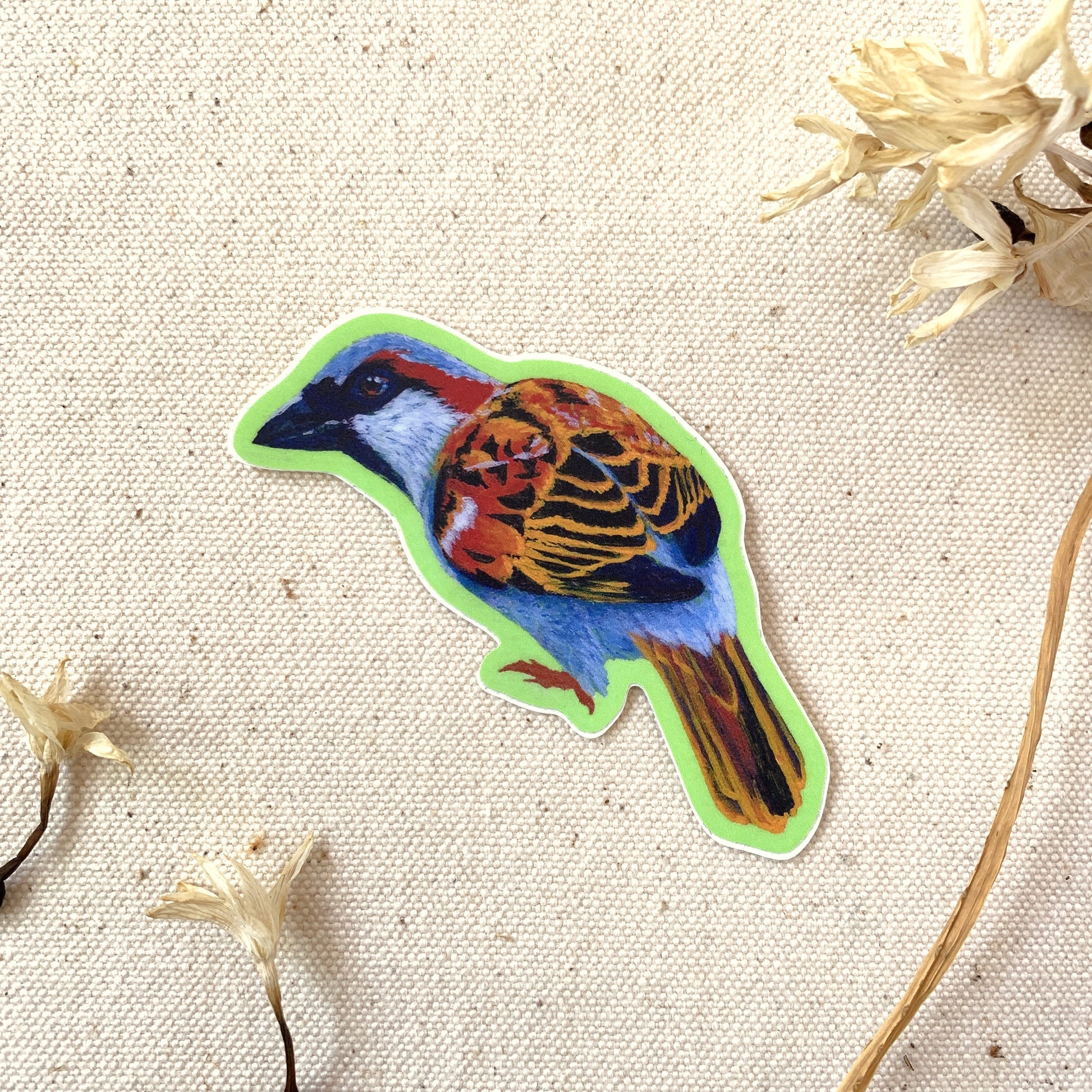 Colorful bird-shaped sticker on a textured beige background with dried flowers.