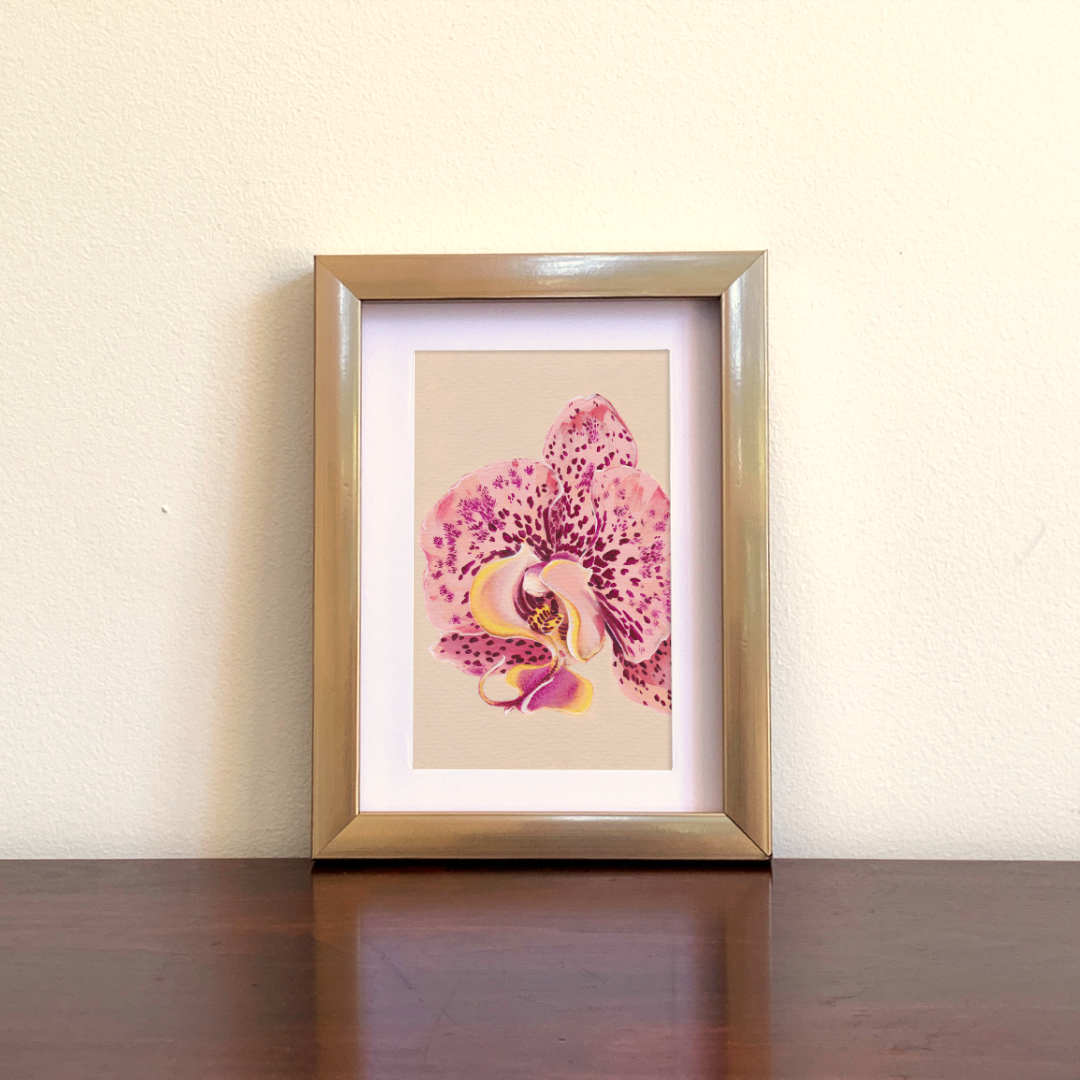 Framed artwork of a pink orchid on a beige wall.