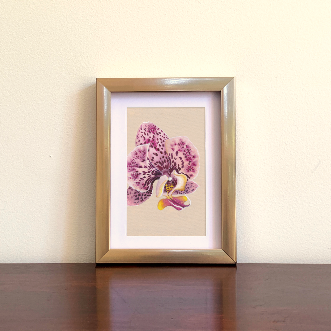 Framed artwork of a pink-purple orchid on a beige wall.