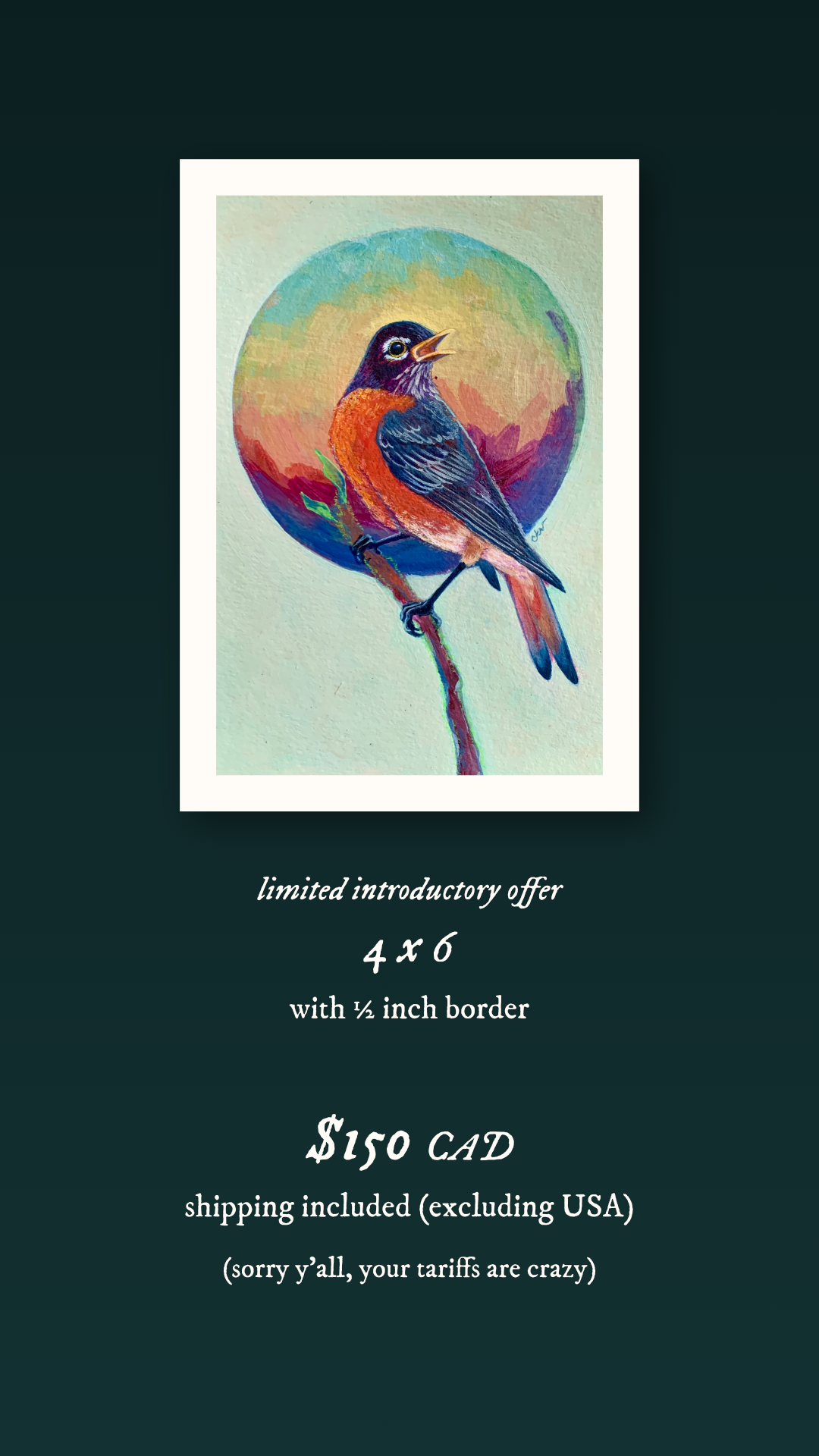 Colorful bird painting with a limited introductory offer text for small commissions on a dark background. Text reads: Limited introductory offer: 4x6 with 1/2 inch border. $150 CAD shipping included (excluding USA) (sorry y'all, your tariffs are crazy)